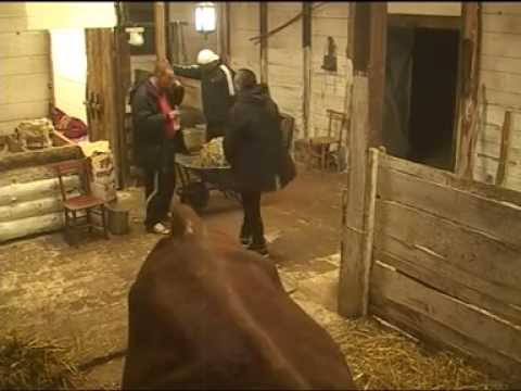 VIP FARMA 4 - Staniji smeta Goca Božinovska