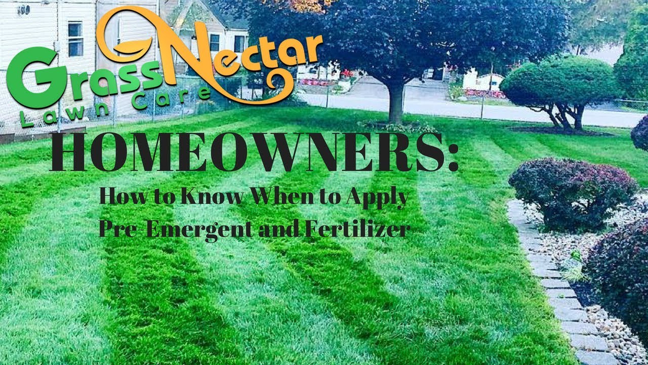 Homeowners: How to Know When To Apply Pre-Emergent & Fertilizer