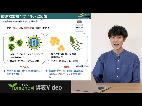 先端経営学科 【ミニ講義】ファージで治す薬剤耐性感染症