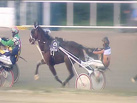 Trotto 03/03/2019 - 6ª corsa