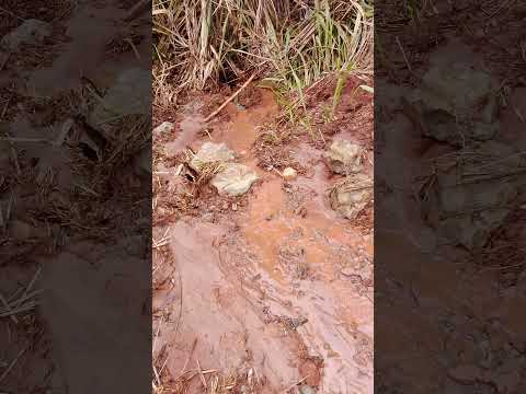 Equipe de Floraí PR DER 29/10/2025