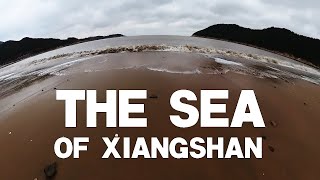 [China Tourism] The Sea of Xiangshan