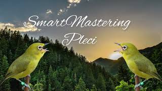 Download lagu Terapi Air Untuk Pleci Macet Bunyi | Smart Mastering Pleci mp3 Download lagu Terapi Air Untuk Pleci Macet Bunyi | Smart Mastering Pleci mp3