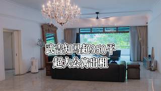 The Arcadia @ Bukit Timah | Rare 3810 sqft Luxury Apartment For Rent 武吉知马 The Arcadia｜3810平方英尺超大平层出租