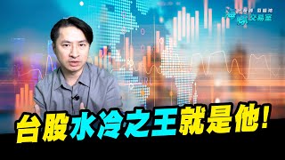 公司說水氣冷散熱需求即將迎來反轉，那指標股是誰? (圖)
