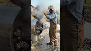 🧸 Lindo Cacto Dançante de Pelúcia Mexicana   Brinquedo de Pelúcia Elétrico