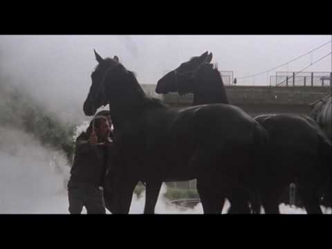 Videos - Sweet Adolescents