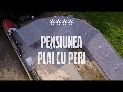 Pensiunea Plai cu Peri si Manastirea Sapanta Peri - vedere aeriana