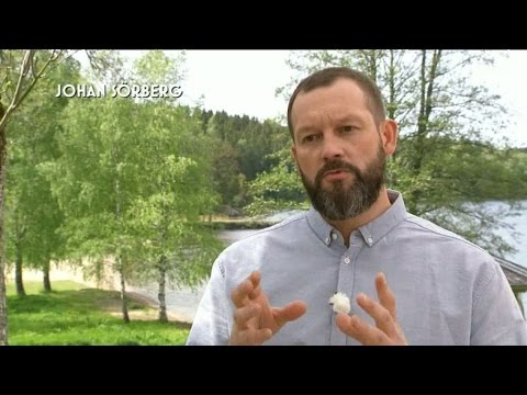 Johan Sörberg; "Så lyckas du med din glutenfria botten" - Hela Sverige Bakar (TV4)