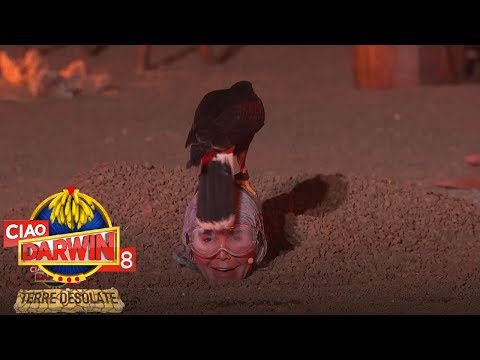 Ciao Darwin 8 - Una prova di coraggio per gli Chic