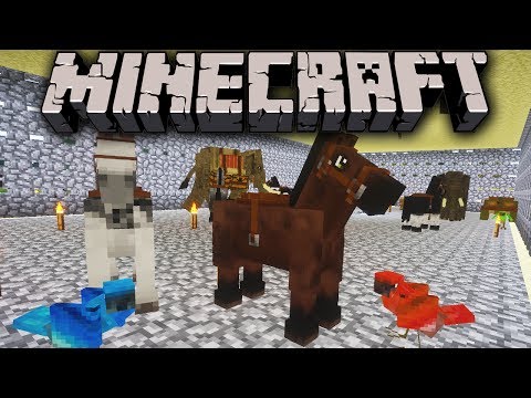 Swimming Bird - Minecraft: Zoo Keeper - Creature Catching Cage - Ep. 14 Dragon Mounts, Mo' Creatures, Shaders Mod