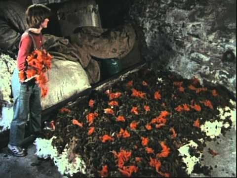 Hands 6 Dublin Woolenmill