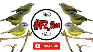 Download lagu Mp3 Pikat Cikrak Bambu Ribut mp3