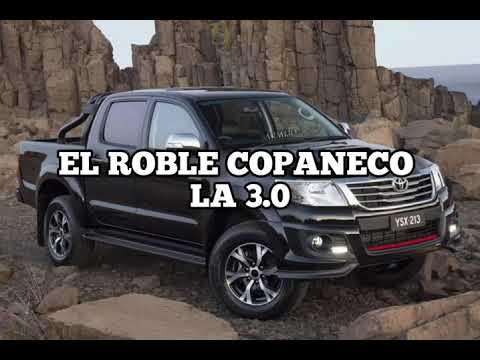 La 3.0 - El Roble Copaneco(Letra)
