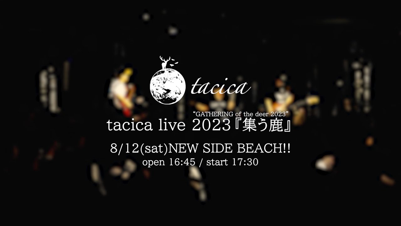 tacica 『アロン』 (Live Video)