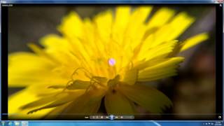 How to Open .MP4 files (Windows 7, Windows Media Player, K-Lite Codec)