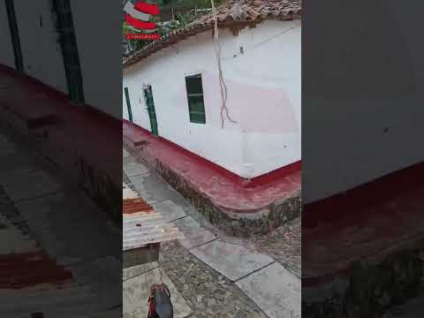 H0stig@mi3nt9 en El Carmen