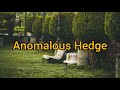 Anomalous Hedges by The Mini Vandals | Satong Music