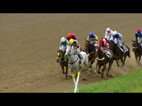 PE, 23. 6. 2018, 5. dostih - Cena Arnošta z Pardubic – podporovaná DPMP