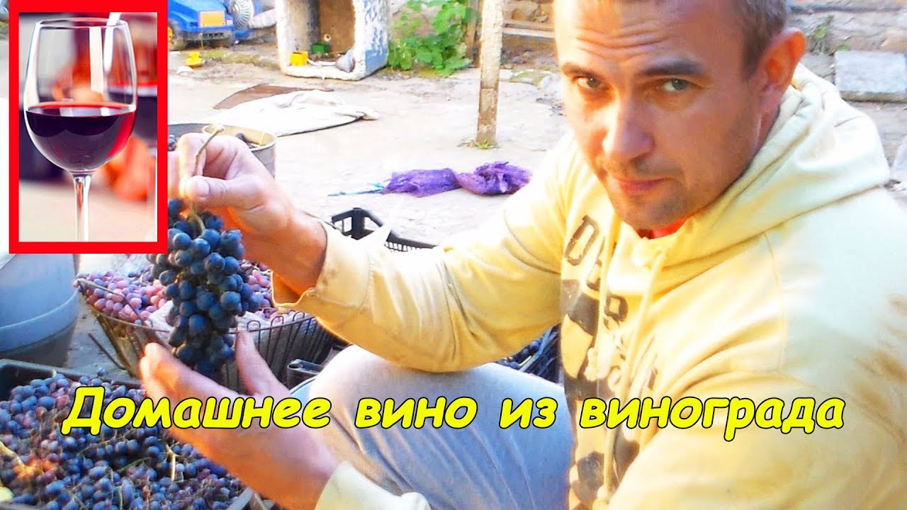 Домашнее вино из винограда