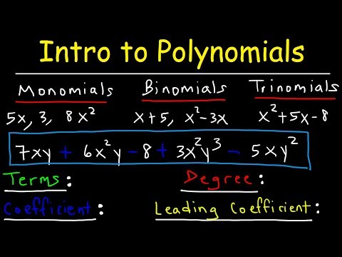 Polynomials - Classifying Monomials, Binomials & Trinomials - Degree & Leading Coefficient Video