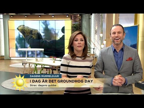 I dag är det groundhog day - Nyhetsmorgon (TV4)