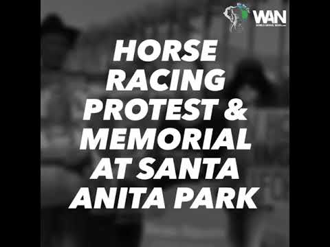 Horse Racing Protest & Memorial At Santa Anita Park