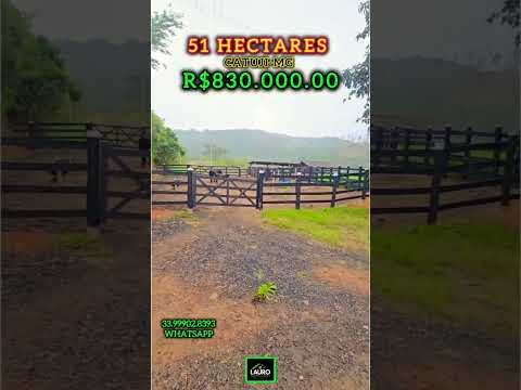Vende CATUJI-MG 🔥🌿 10,62 Alqueires | 51 Hectares💧 06 represas + várias nascentes🏡 Casa sede