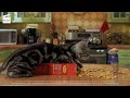 Stuart Little I M Gonna Kill You HD CLIP