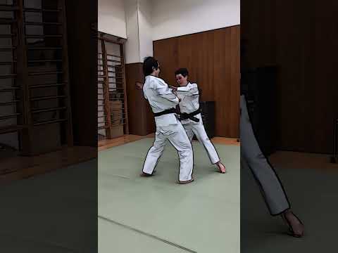 横面打ち即発崩し　正中心練磨・肥田式強健術