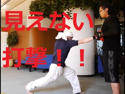 【見えないパンチ！？キュアブラックさんの奥義伝授！】ハヤテ流格闘技