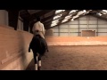 Basic Training - Part G -The work of canter