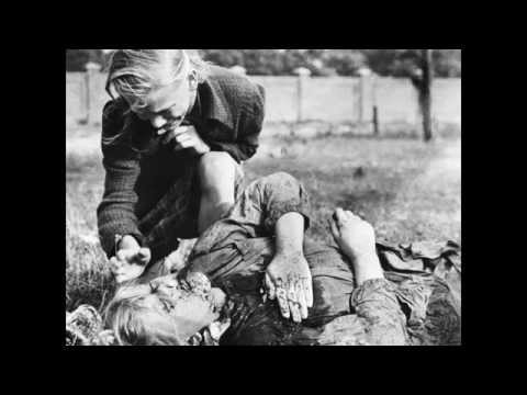 Szympans, ADM, RDR - Czarny sen