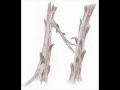 L ALPHABET DES BRANCHES