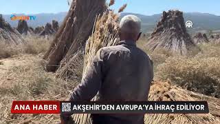 AKŞEHİR'DEN AVRUPA'YA İHRAÇ EDİLİYOR