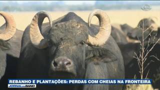 Miniatura do vídeo