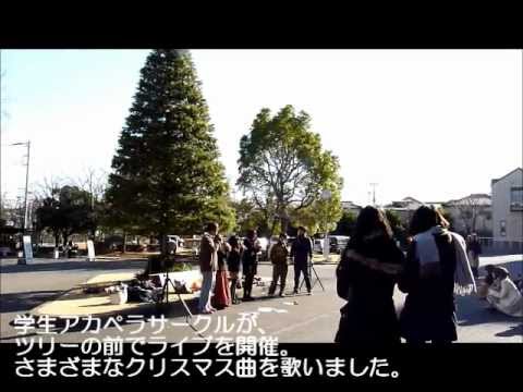 政治経済学科 学生アカペラサークル　クリスマスライブ