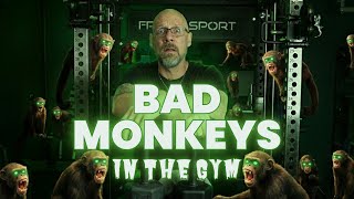 I Should Have Sent Them Back | Fringe Sport Silver Back Dumbbell Review