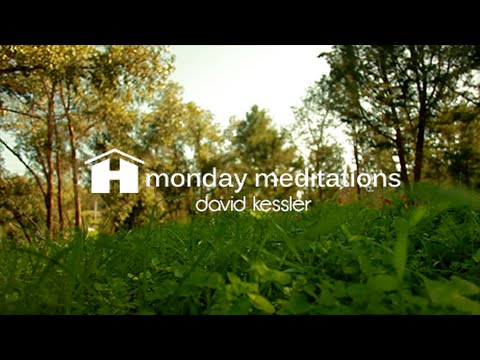 Healing Your Tender Heart Meditation by David Kessler ~ Monday Meditations