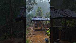 Download lagu Pondok ku Di Tengah Hutan Di Guyur Hujan Deras Dan Guludug mp3