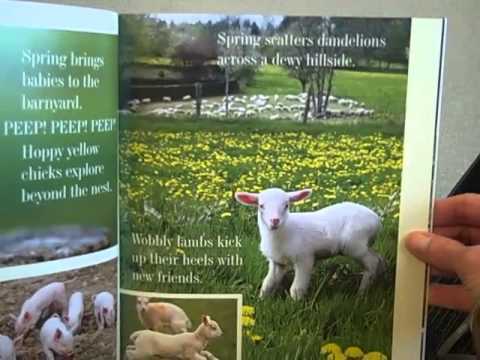 Hello Two Peas Read-Aloud: Everything Spring by Jill Esbaum