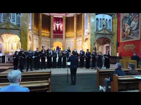 12 Cesis - Parvulus filius