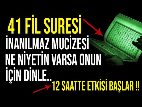41 FİL SURESİ İNANILMAZ MUCİZESİ..NE NİYETİN VARSA ONUN İÇİN DİNLE..12 SAATTE ETKİSİ BAŞLAR !