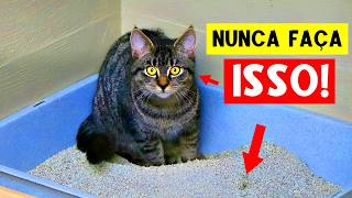 Os erros mais PERIGOSOS dos tutores de gatos! A vida do seu gato pode depender disso!