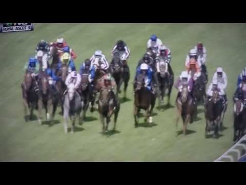 ROYAL HUNT CUP 2017 - ZHUI FENG !!!