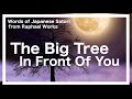 The Big Tree In Front Of You