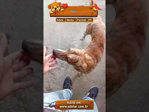 Vídeo de Max