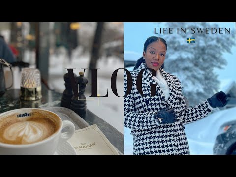 スウェーデン生活: 休日編|スキーの街への旅|セーレン スキー リゾート|息を呑むような景色