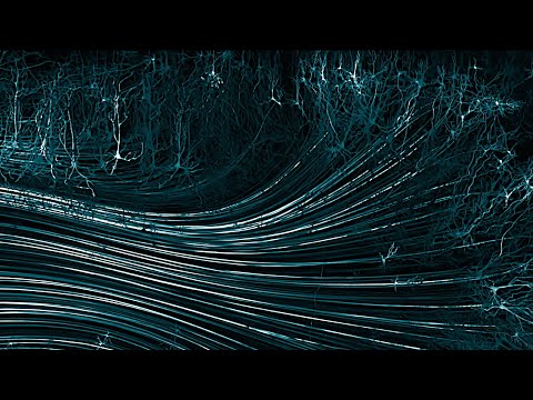 Rodrigo Leão - ESQUECIMENTO - "Cérebro: Mais Vasto que o Céu" - Fundação Calouste Gulbenkian