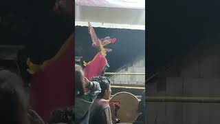 Download lagu BUJANG GANONG 'WONG SEMPEL CREW'feat RAMPAK BARONG ROGO JOYO PUTRO 🇮🇩🇮🇩🇮🇩 mp3 Download lagu BUJANG GANONG 'WONG SEMPEL CREW'feat RAMPAK BARONG ROGO JOYO PUTRO 🇮🇩🇮🇩🇮🇩 mp3